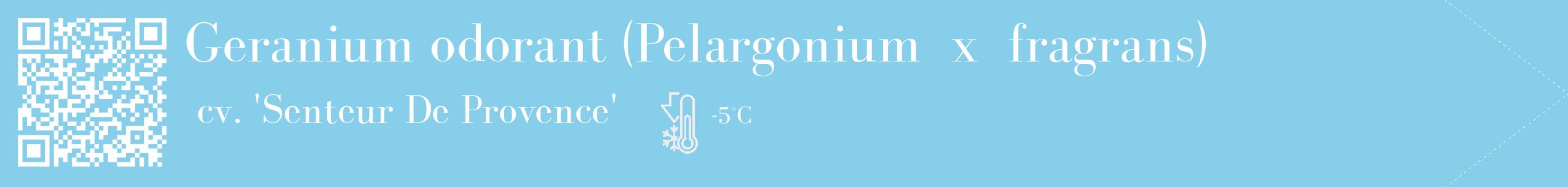 Étiquette de : Pelargonium x fragrans cv. 'Senteur De Provence' - format c - style blanche1_simple_simplebod avec qrcode et comestibilité