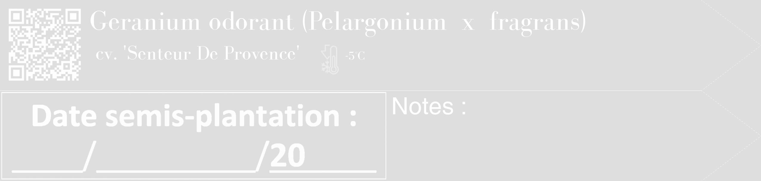 Étiquette de : Pelargonium x fragrans cv. 'Senteur De Provence' - format c - style blanche20_simple_simplebod avec qrcode et comestibilité