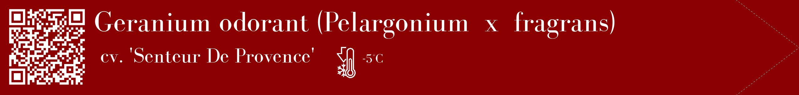 Étiquette de : Pelargonium x fragrans cv. 'Senteur De Provence' - format c - style blanche34_simple_simplebod avec qrcode et comestibilité