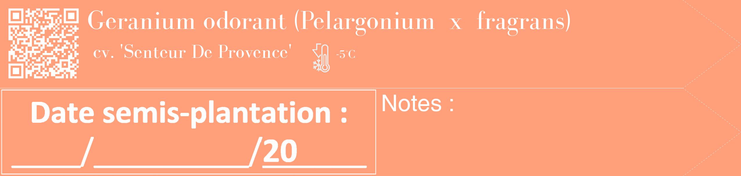 Étiquette de : Pelargonium x fragrans cv. 'Senteur De Provence' - format c - style blanche39_simple_simplebod avec qrcode et comestibilité