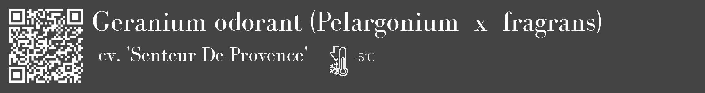Étiquette de : Pelargonium x fragrans cv. 'Senteur De Provence' - format c - style blanche48_basique_basiquebod avec qrcode et comestibilité