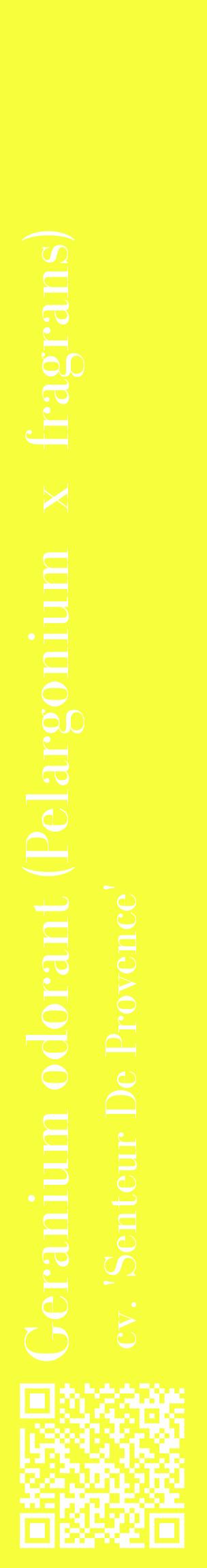 Étiquette de : Pelargonium x fragrans cv. 'Senteur De Provence' - format c - style blanche18_basiquebod avec qrcode et comestibilité