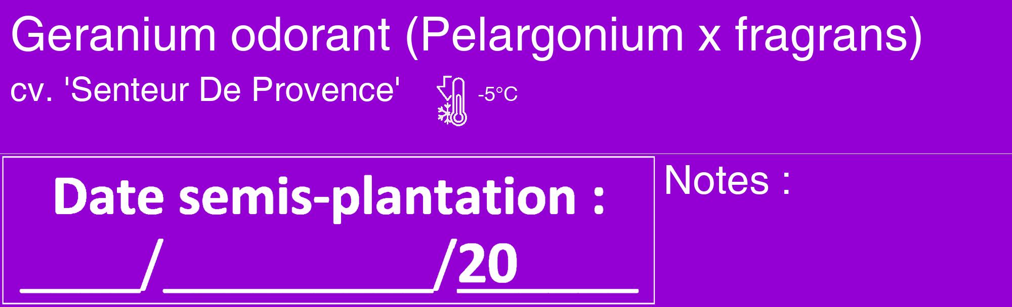 Étiquette de : Pelargonium x fragrans cv. 'Senteur De Provence' - format c - style blanche48_basique_basiquehel avec comestibilité