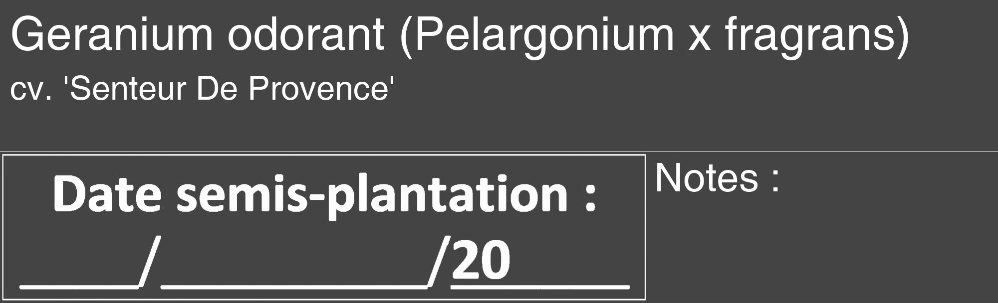 Étiquette de : Pelargonium x fragrans cv. 'Senteur De Provence' - format c - style blanche48_basique_basiquehel avec comestibilité