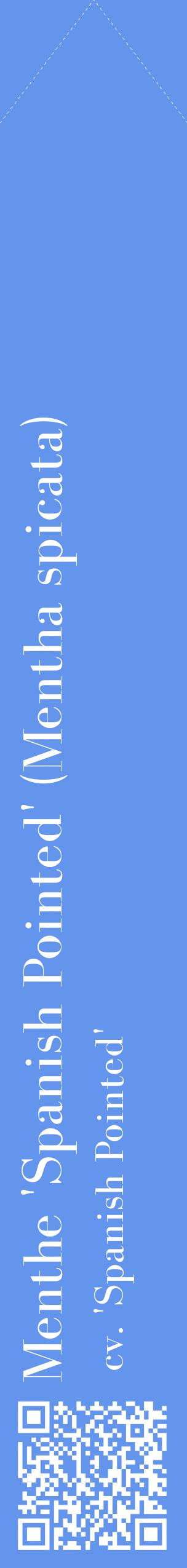 Étiquette de : Mentha spicata cv. 'Spanish Pointed' - format c - style blanche4_simplebod avec qrcode et comestibilité