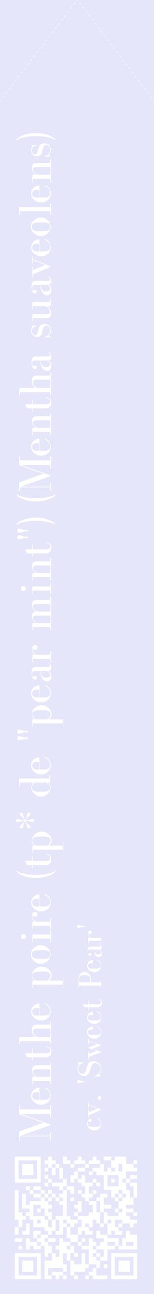 Étiquette de : Mentha suaveolens cv. 'Sweet Pear' - format c - style blanche55_simplebod avec qrcode et comestibilité