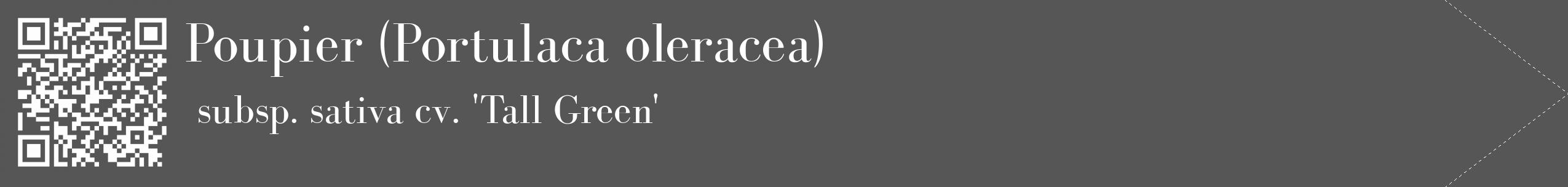 Étiquette de : Portulaca oleracea subsp. sativa cv. 'Tall Green' - format c - style blanche45_simple_simplebod avec qrcode et comestibilité