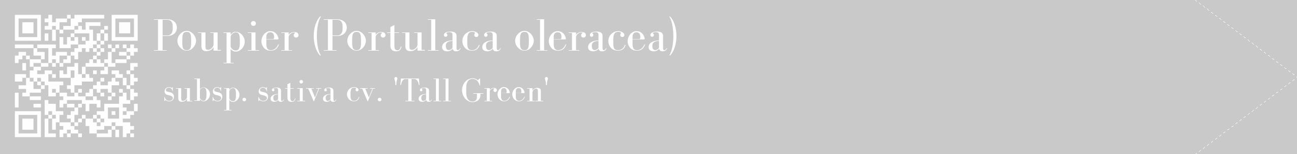 Étiquette de : Portulaca oleracea subsp. sativa cv. 'Tall Green' - format c - style blanche54_simple_simplebod avec qrcode et comestibilité