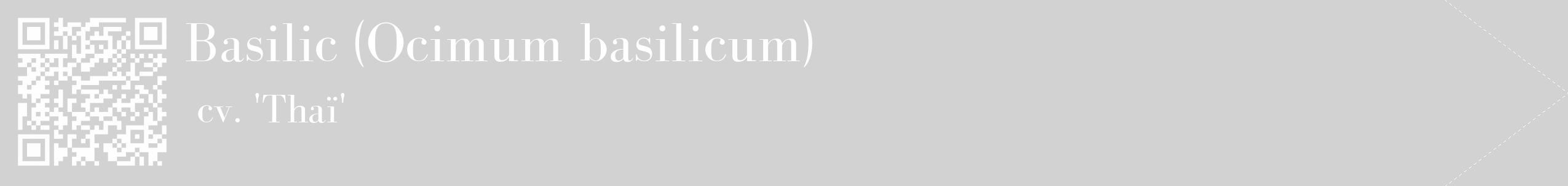 Étiquette de : Ocimum basilicum cv. 'Thaï' - format c - style blanche14_simple_simplebod avec qrcode et comestibilité