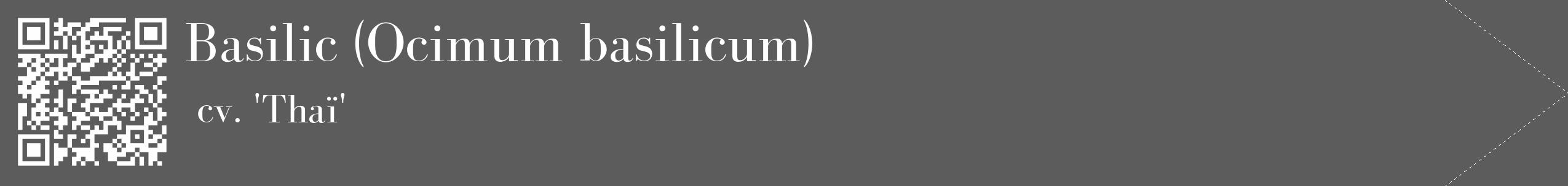 Étiquette de : Ocimum basilicum cv. 'Thaï' - format c - style blanche49_simple_simplebod avec qrcode et comestibilité
