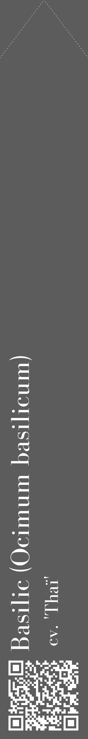 Étiquette de : Ocimum basilicum cv. 'Thaï' - format c - style blanche49_simple_simplebod avec qrcode et comestibilité - position verticale