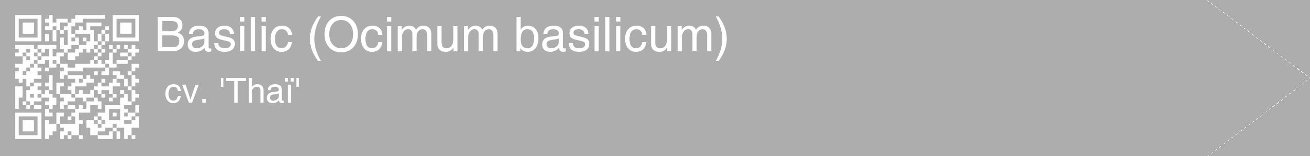 Étiquette de : Ocimum basilicum cv. 'Thaï' - format c - style blanche22_simple_simplehel avec qrcode et comestibilité