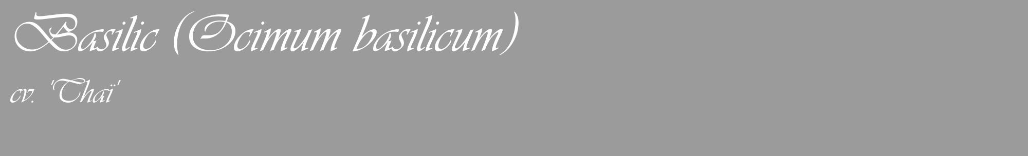 Étiquette de : Ocimum basilicum cv. 'Thaï' - format c - style blanche52_basique_basiqueviv avec comestibilité