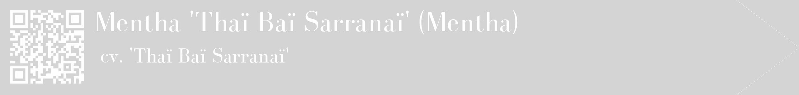 Étiquette de : Mentha cv. 'Thaï Baï Sarranaï' - format c - style blanche40_simple_simplebod avec qrcode et comestibilité