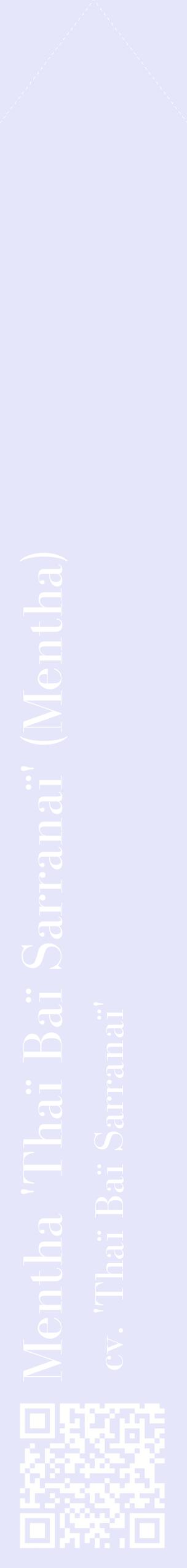Étiquette de : Mentha cv. 'Thaï Baï Sarranaï' - format c - style blanche55_simplebod avec qrcode et comestibilité