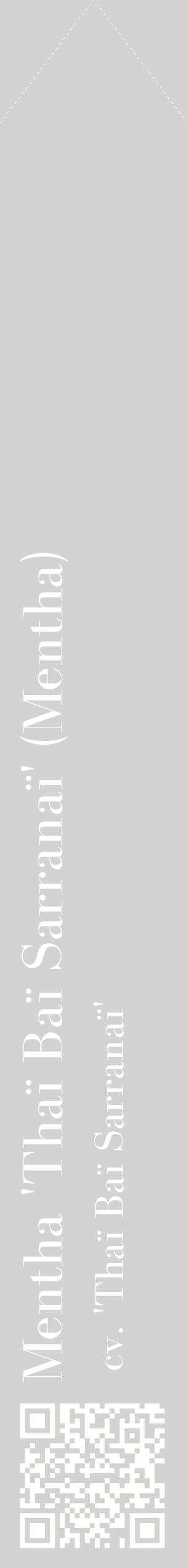 Étiquette de : Mentha cv. 'Thaï Baï Sarranaï' - format c - style blanche56_simplebod avec qrcode et comestibilité