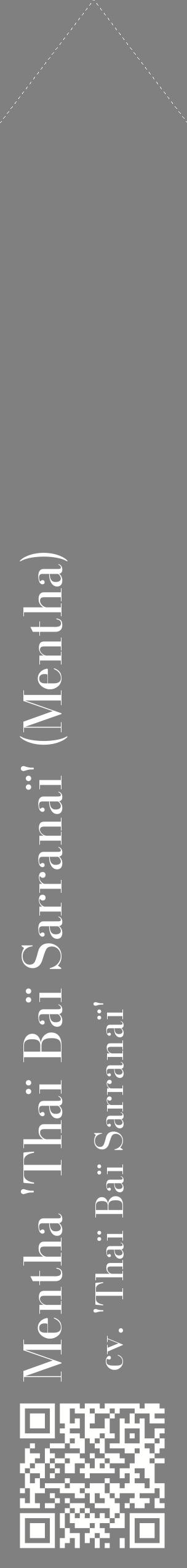 Étiquette de : Mentha cv. 'Thaï Baï Sarranaï' - format c - style blanche57_simplebod avec qrcode et comestibilité