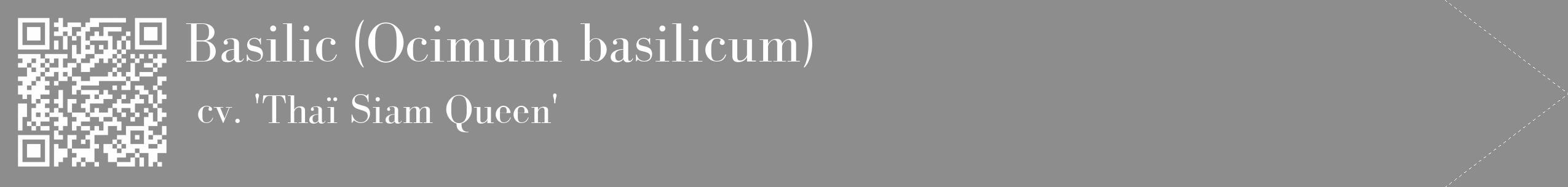 Étiquette de : Ocimum basilicum cv. 'Thaï Siam Queen' - format c - style blanche2_simple_simplebod avec qrcode et comestibilité