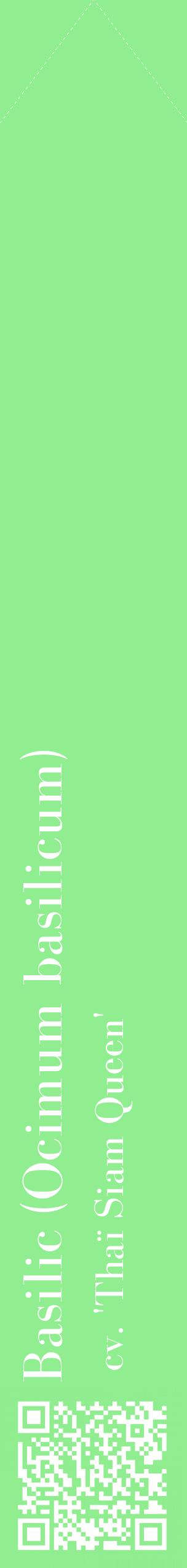 Étiquette de : Ocimum basilicum cv. 'Thaï Siam Queen' - format c - style blanche15_simplebod avec qrcode et comestibilité