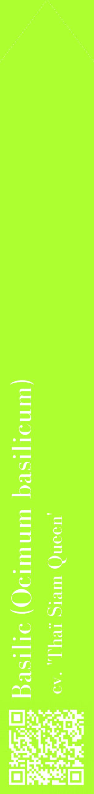 Étiquette de : Ocimum basilicum cv. 'Thaï Siam Queen' - format c - style blanche17_simple_simplebod avec qrcode et comestibilité - position verticale