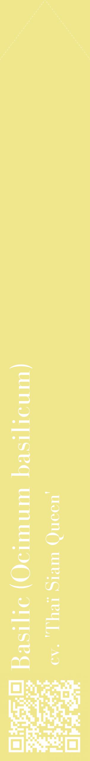 Étiquette de : Ocimum basilicum cv. 'Thaï Siam Queen' - format c - style blanche20_simplebod avec qrcode et comestibilité