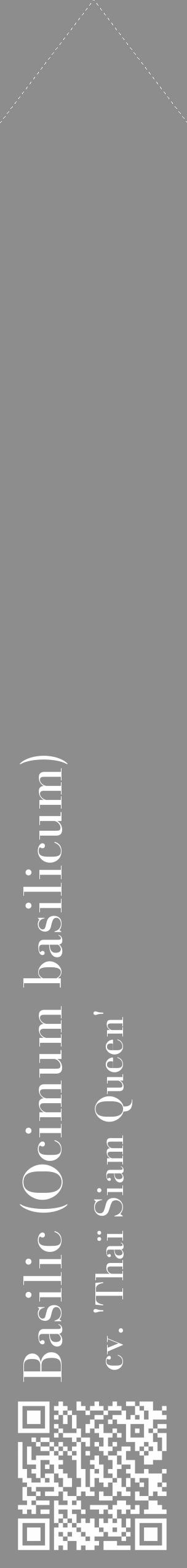 Étiquette de : Ocimum basilicum cv. 'Thaï Siam Queen' - format c - style blanche2_simple_simplebod avec qrcode et comestibilité - position verticale
