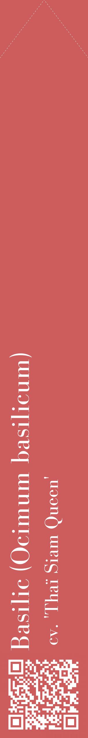 Étiquette de : Ocimum basilicum cv. 'Thaï Siam Queen' - format c - style blanche35_simplebod avec qrcode et comestibilité