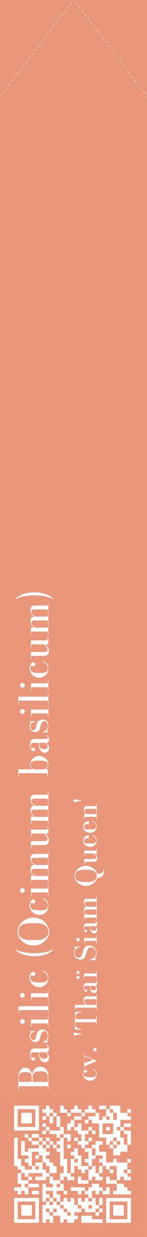 Étiquette de : Ocimum basilicum cv. 'Thaï Siam Queen' - format c - style blanche37_simplebod avec qrcode et comestibilité