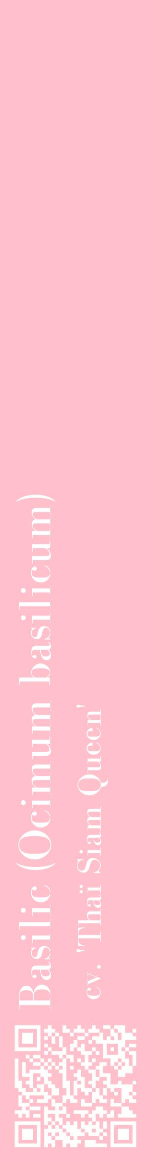 Étiquette de : Ocimum basilicum cv. 'Thaï Siam Queen' - format c - style blanche40_basiquebod avec qrcode et comestibilité