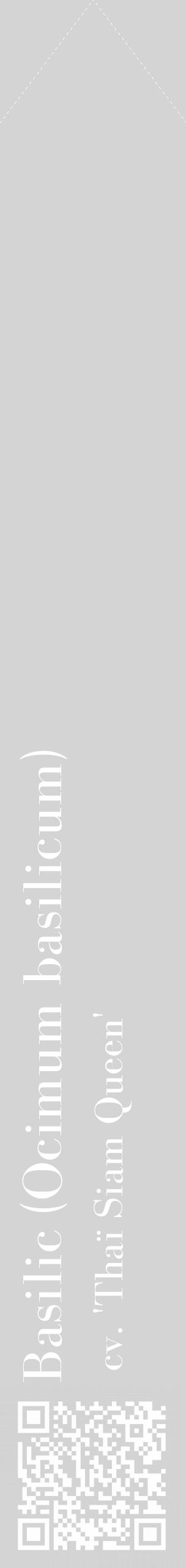 Étiquette de : Ocimum basilicum cv. 'Thaï Siam Queen' - format c - style blanche40_simple_simplebod avec qrcode et comestibilité - position verticale