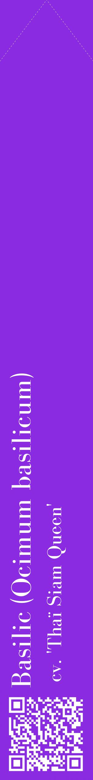 Étiquette de : Ocimum basilicum cv. 'Thaï Siam Queen' - format c - style blanche49_simplebod avec qrcode et comestibilité
