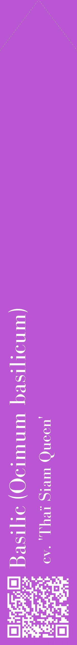 Étiquette de : Ocimum basilicum cv. 'Thaï Siam Queen' - format c - style blanche50_simplebod avec qrcode et comestibilité