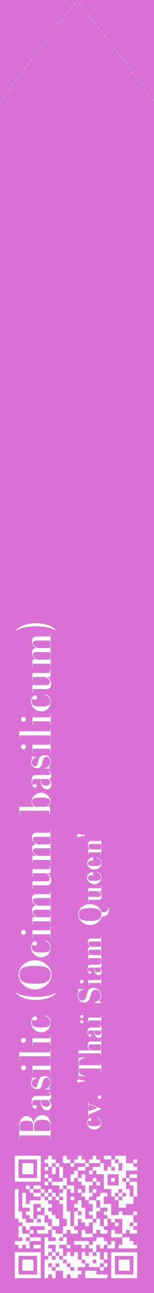 Étiquette de : Ocimum basilicum cv. 'Thaï Siam Queen' - format c - style blanche52_simplebod avec qrcode et comestibilité