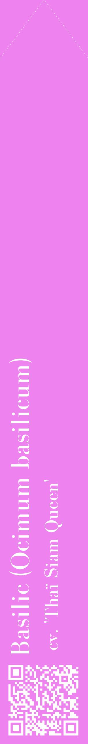 Étiquette de : Ocimum basilicum cv. 'Thaï Siam Queen' - format c - style blanche53_simplebod avec qrcode et comestibilité