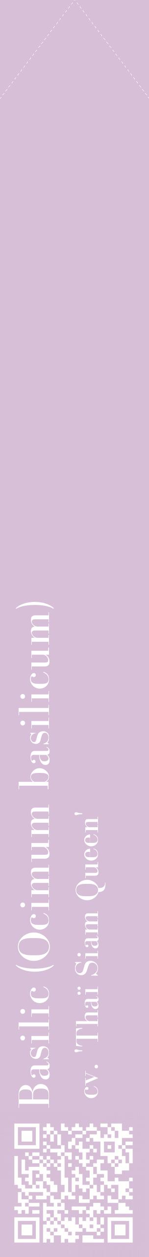 Étiquette de : Ocimum basilicum cv. 'Thaï Siam Queen' - format c - style blanche54_simplebod avec qrcode et comestibilité
