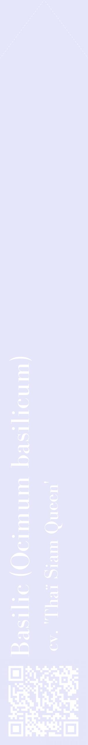 Étiquette de : Ocimum basilicum cv. 'Thaï Siam Queen' - format c - style blanche55_simplebod avec qrcode et comestibilité