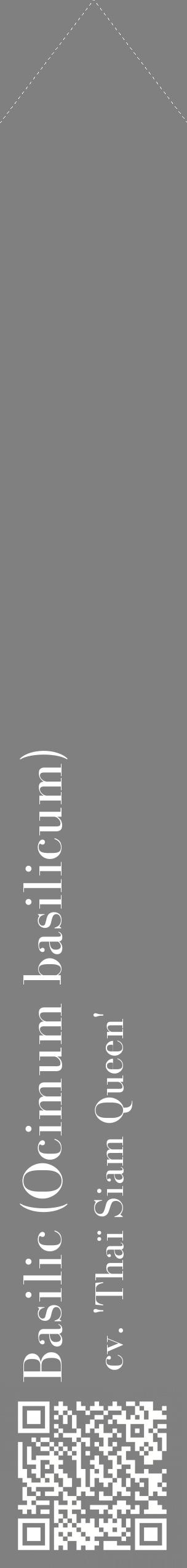 Étiquette de : Ocimum basilicum cv. 'Thaï Siam Queen' - format c - style blanche57_simplebod avec qrcode et comestibilité