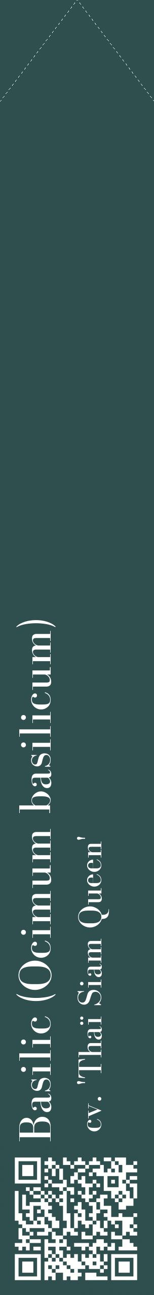Étiquette de : Ocimum basilicum cv. 'Thaï Siam Queen' - format c - style blanche58_simplebod avec qrcode et comestibilité