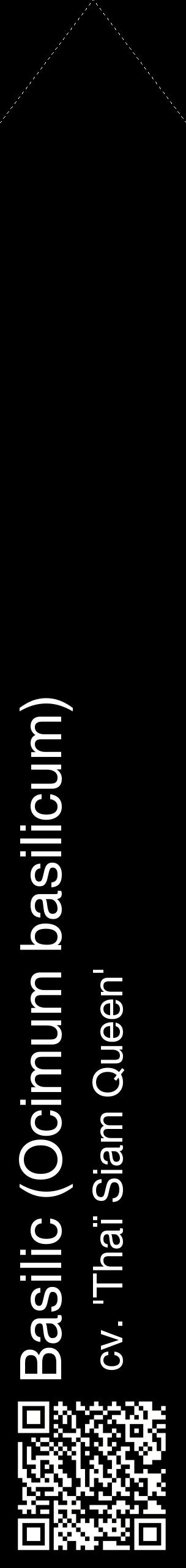 Étiquette de : Ocimum basilicum cv. 'Thaï Siam Queen' - format c - style blanche59_simplehel avec qrcode et comestibilité