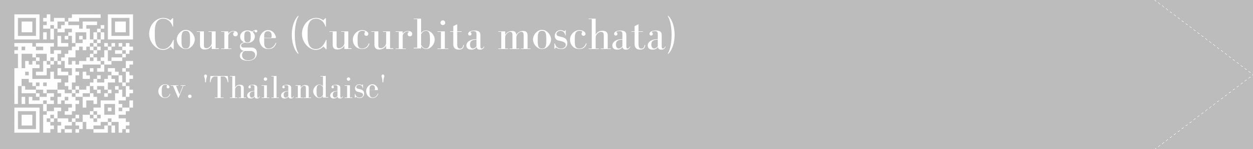 Étiquette de : Cucurbita moschata cv. 'Thailandaise' - format c - style blanche1_simple_simplebod avec qrcode et comestibilité