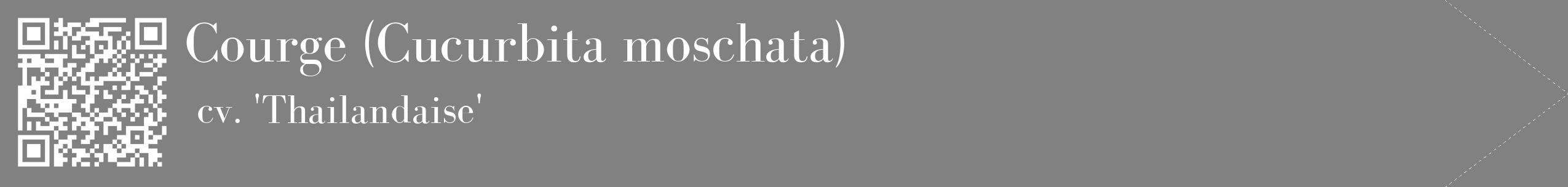 Étiquette de : Cucurbita moschata cv. 'Thailandaise' - format c - style blanche50_simple_simplebod avec qrcode et comestibilité