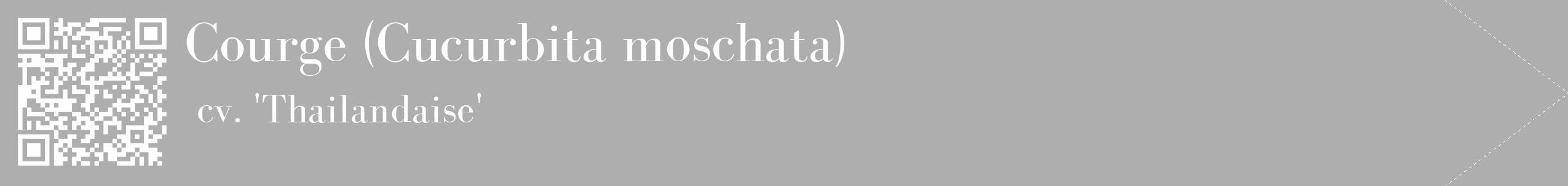 Étiquette de : Cucurbita moschata cv. 'Thailandaise' - format c - style blanche53_simple_simplebod avec qrcode et comestibilité