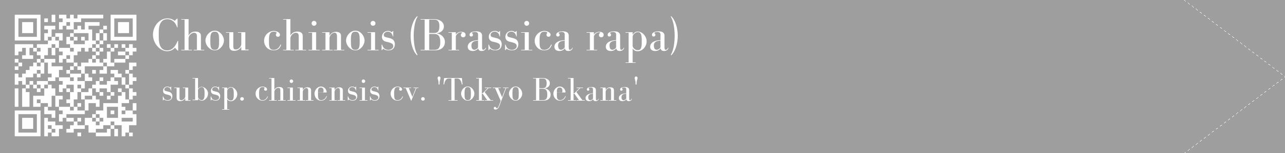 Étiquette de : Brassica rapa subsp. chinensis cv. 'Tokyo Bekana' - format c - style blanche42_simple_simplebod avec qrcode et comestibilité