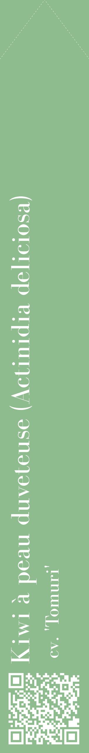 Étiquette de : Actinidia deliciosa cv. 'Tomuri' - format c - style blanche13_simplebod avec qrcode et comestibilité