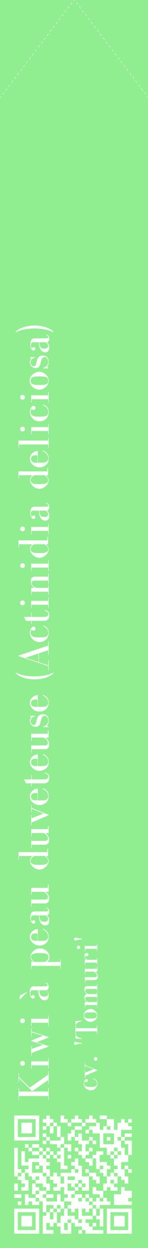 Étiquette de : Actinidia deliciosa cv. 'Tomuri' - format c - style blanche15_simplebod avec qrcode et comestibilité