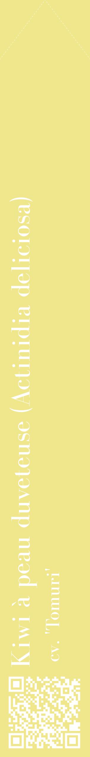 Étiquette de : Actinidia deliciosa cv. 'Tomuri' - format c - style blanche20_simplebod avec qrcode et comestibilité