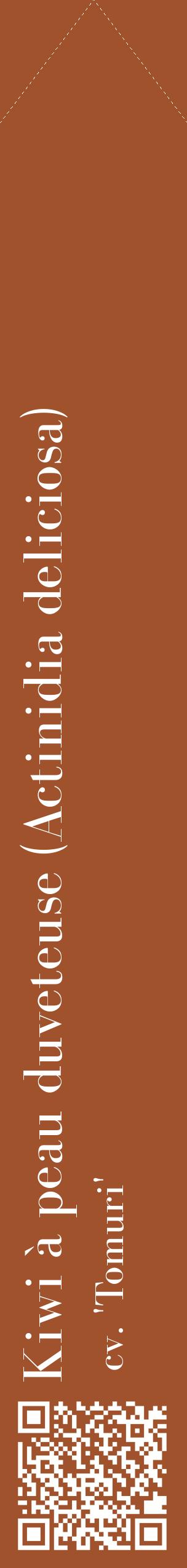 Étiquette de : Actinidia deliciosa cv. 'Tomuri' - format c - style blanche32_simplebod avec qrcode et comestibilité