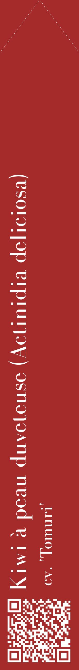 Étiquette de : Actinidia deliciosa cv. 'Tomuri' - format c - style blanche33_simplebod avec qrcode et comestibilité