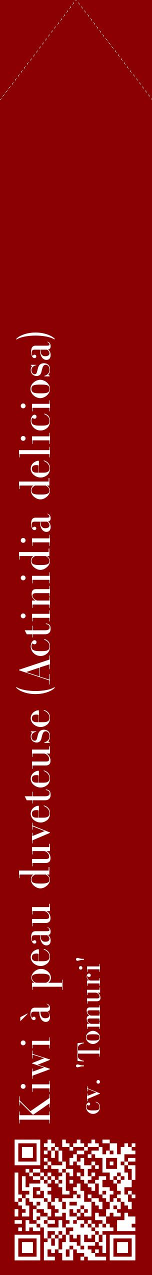 Étiquette de : Actinidia deliciosa cv. 'Tomuri' - format c - style blanche34_simplebod avec qrcode et comestibilité