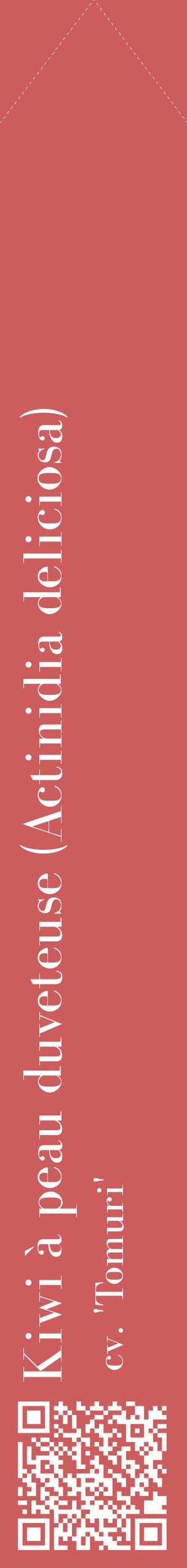 Étiquette de : Actinidia deliciosa cv. 'Tomuri' - format c - style blanche35_simplebod avec qrcode et comestibilité